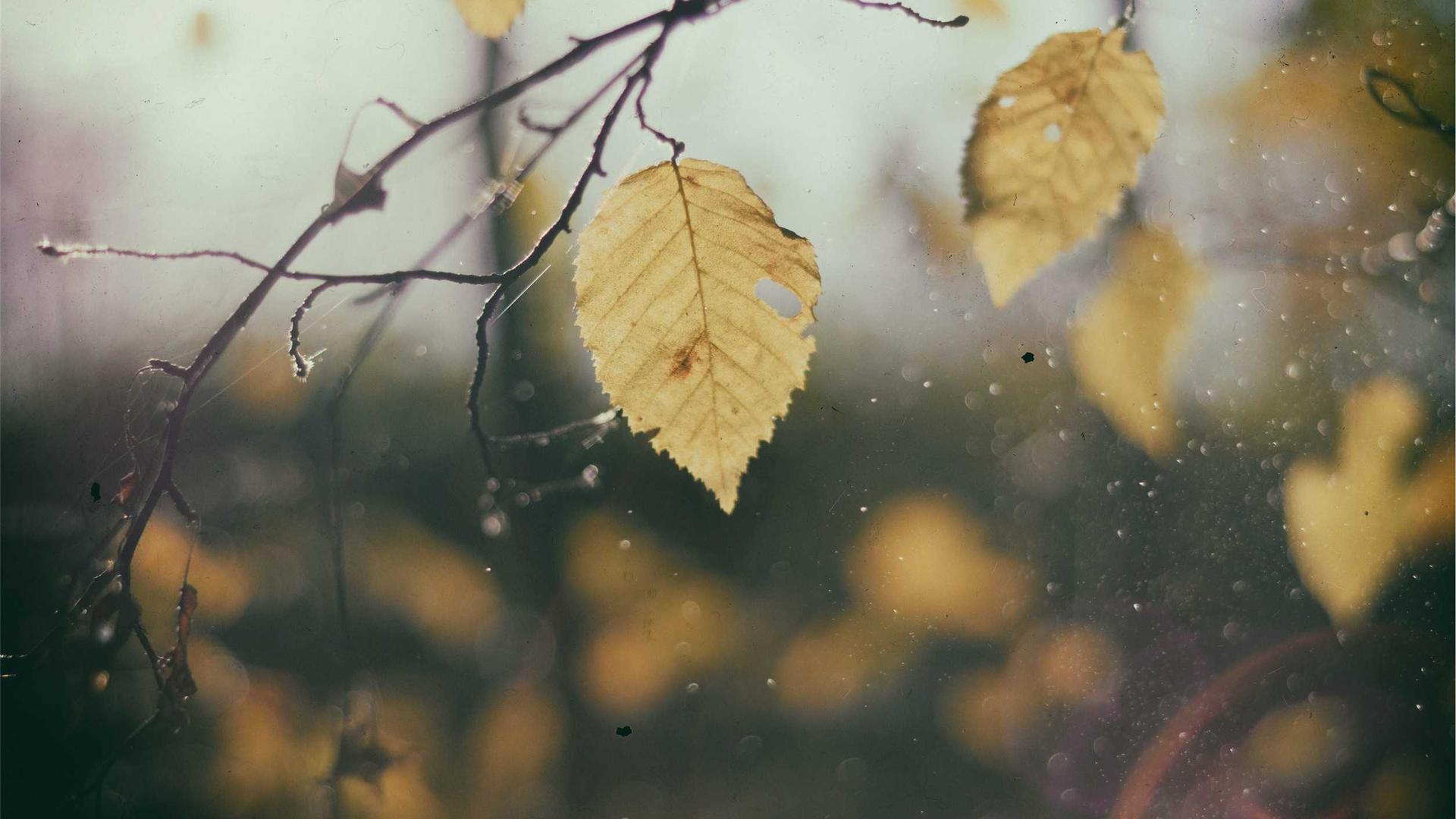 A colorful salad in a bowl.