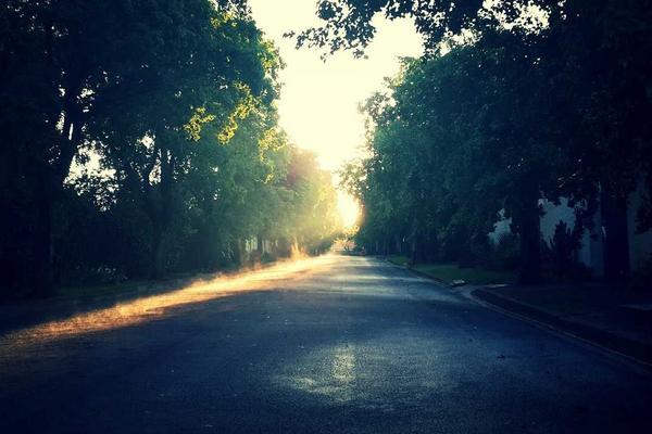 Vibrant quinoa salad with avocado and tomatoes.
